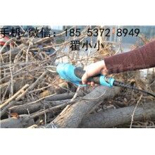 優質園林剪切器廠家直銷