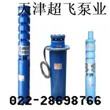 天津潛水電機，天津潛水泵