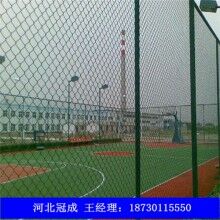 專業定制球場圍網價格低廉