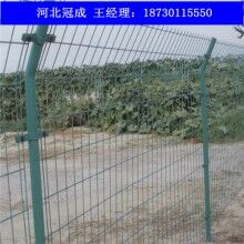 雙邊絲護欄網_雙邊絲護欄網規格_雙邊絲護欄網廠家
